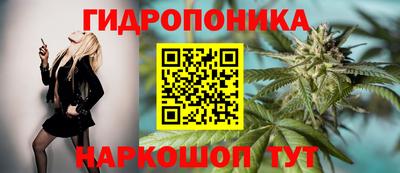 mix Камышлов