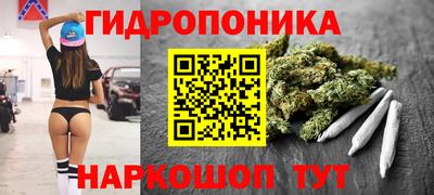 apvp Канаш