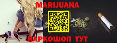 apvp Канаш