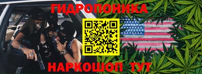 apvp Канаш