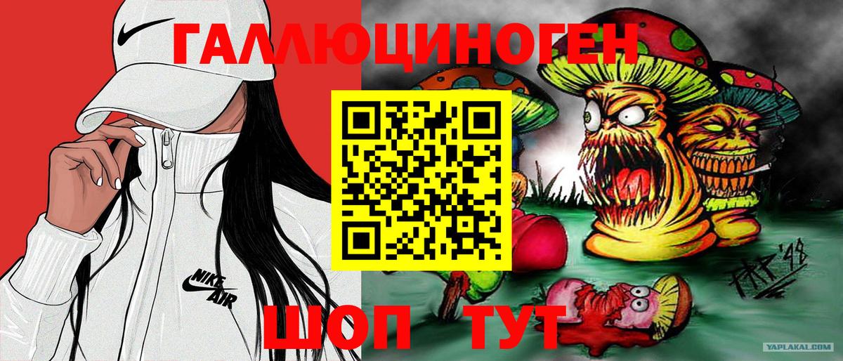 Псилоцибиновые грибы ЛСД Новороссийск