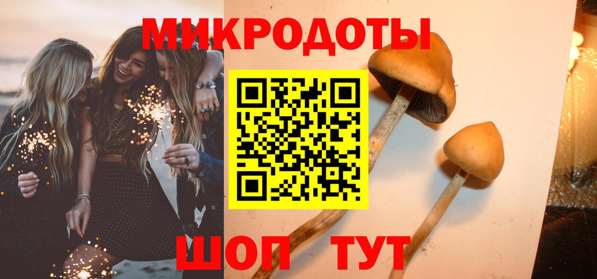 Новороссийск  Псилоцибиновые грибы GOLDEN TEACHER  Вход с VPN 
